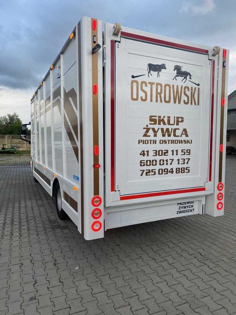 Man TGL 12250 do  przewozu zwierząt