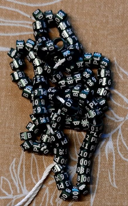 Obrączki,znaczniki na papugi ,kanarki ,egzotyka 26 r