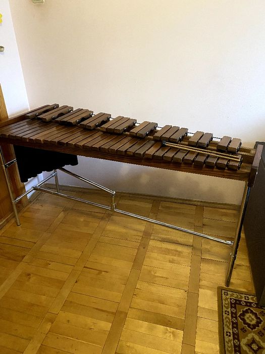 Ксилофон (професійний музичний інструмент)