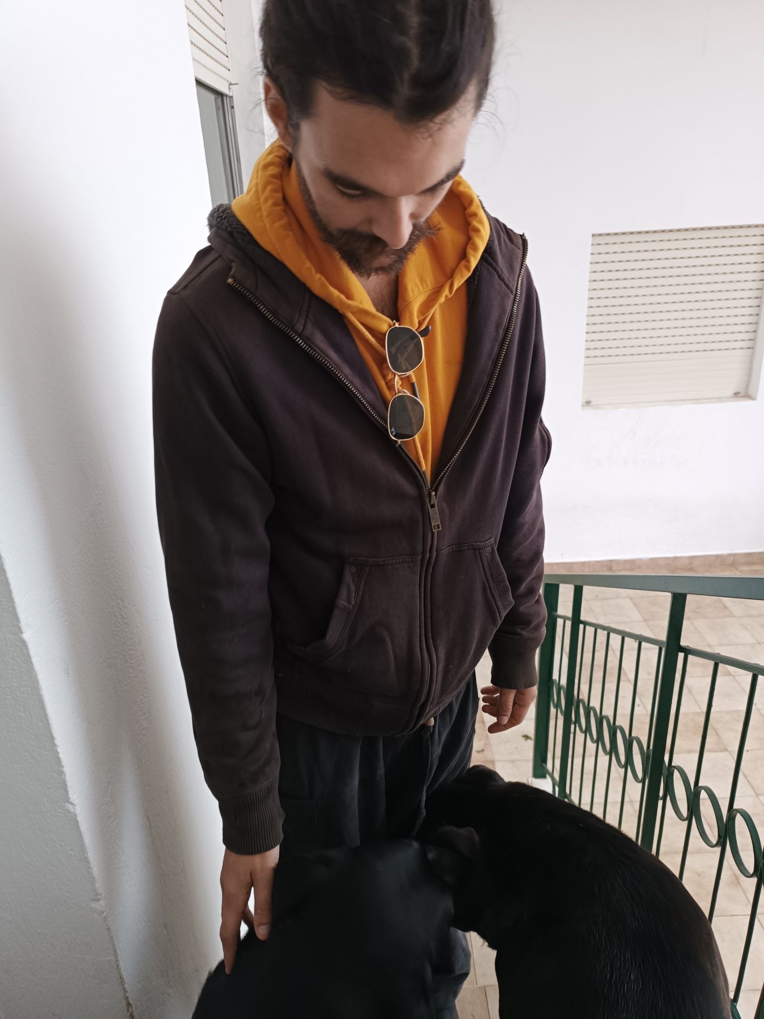 Pet sitting and pet walking Coimbra