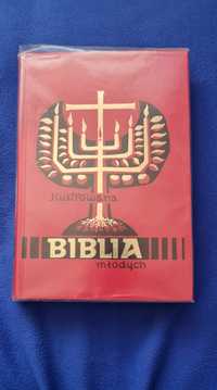 Biblia ilustrowana dla młodych