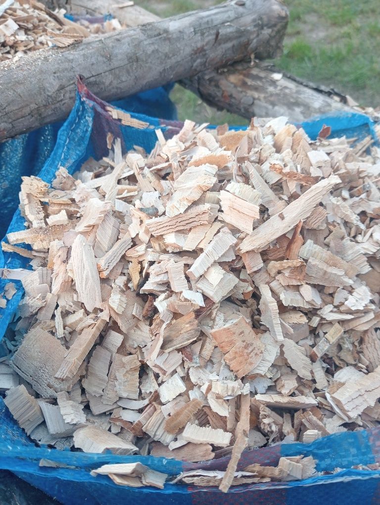 Zrębka z drzew liściastych