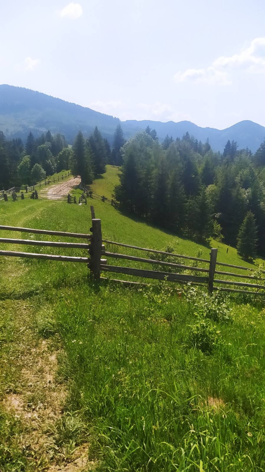 Ціна договірна. Продається земельна ділянка 2.5 в Буковинських Карпата
