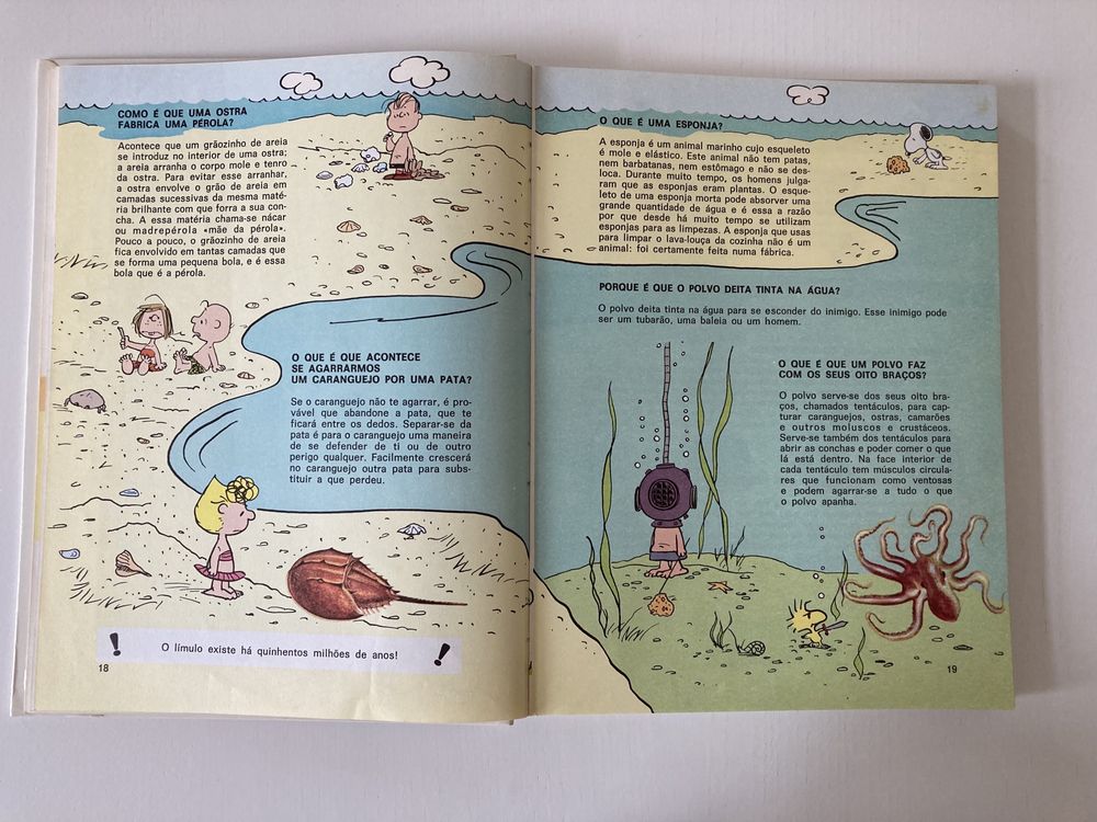 O Grande Livro de Perguntas e Respostas de Charlie Brown C. M. Schulz