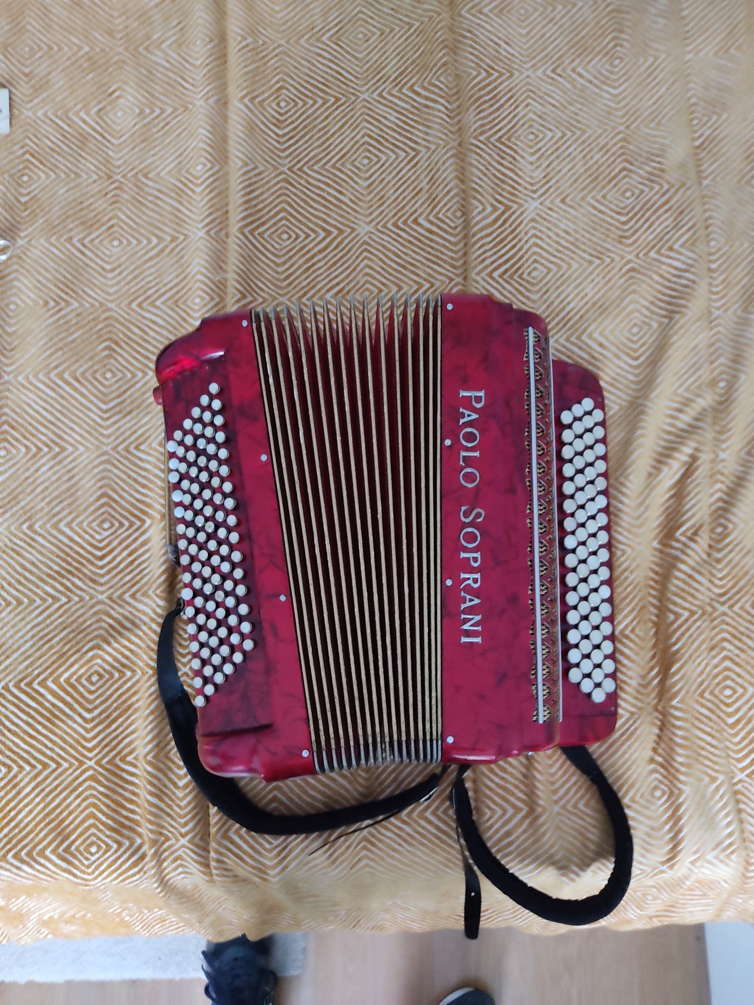 Ocrdeom Paolo soprano