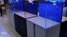 Aquario com movel novos 100x50x50