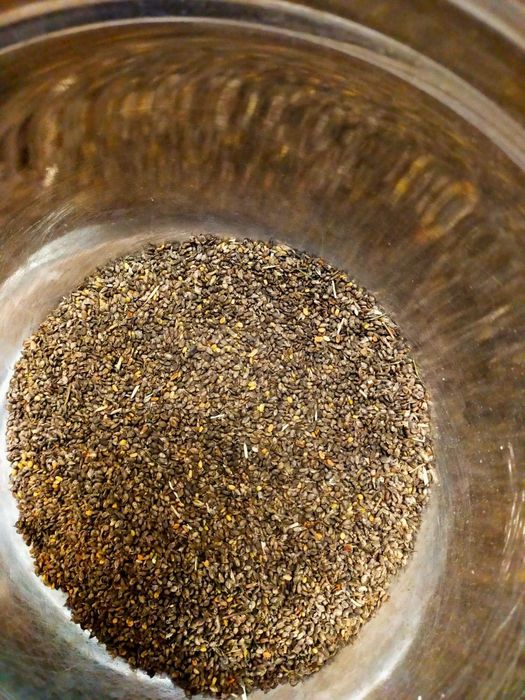 Nostrzyk biały ekologiczny