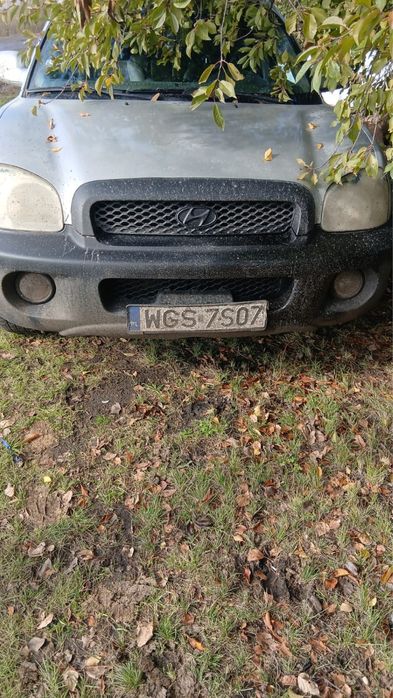 Hyundai Santa Fe 2003 2.0 дизель