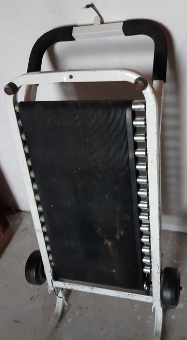 bieznia dla sportowcow seniorow i zwierzakow