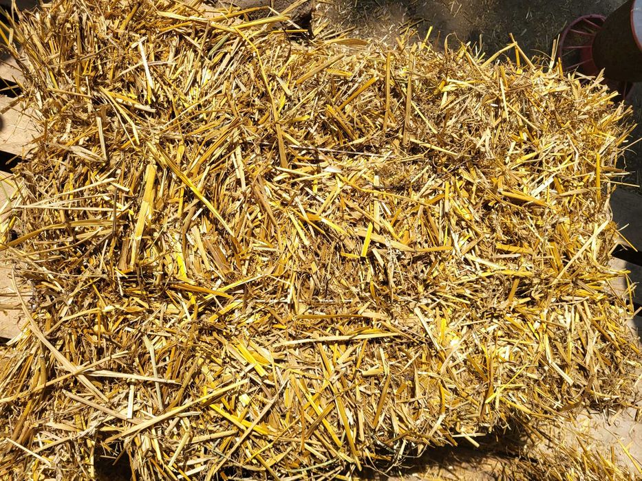 Słoma w kostkach 2025r.