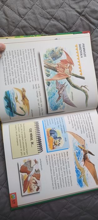 Tajemnice zwierząt, książka dla dzieci