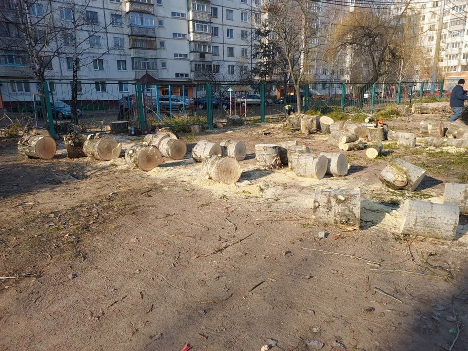 Порізка дерев і косіння трави