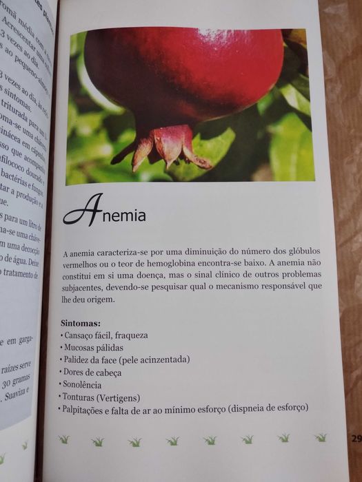 Livro Viva Melhor com as Plantas Medicinais