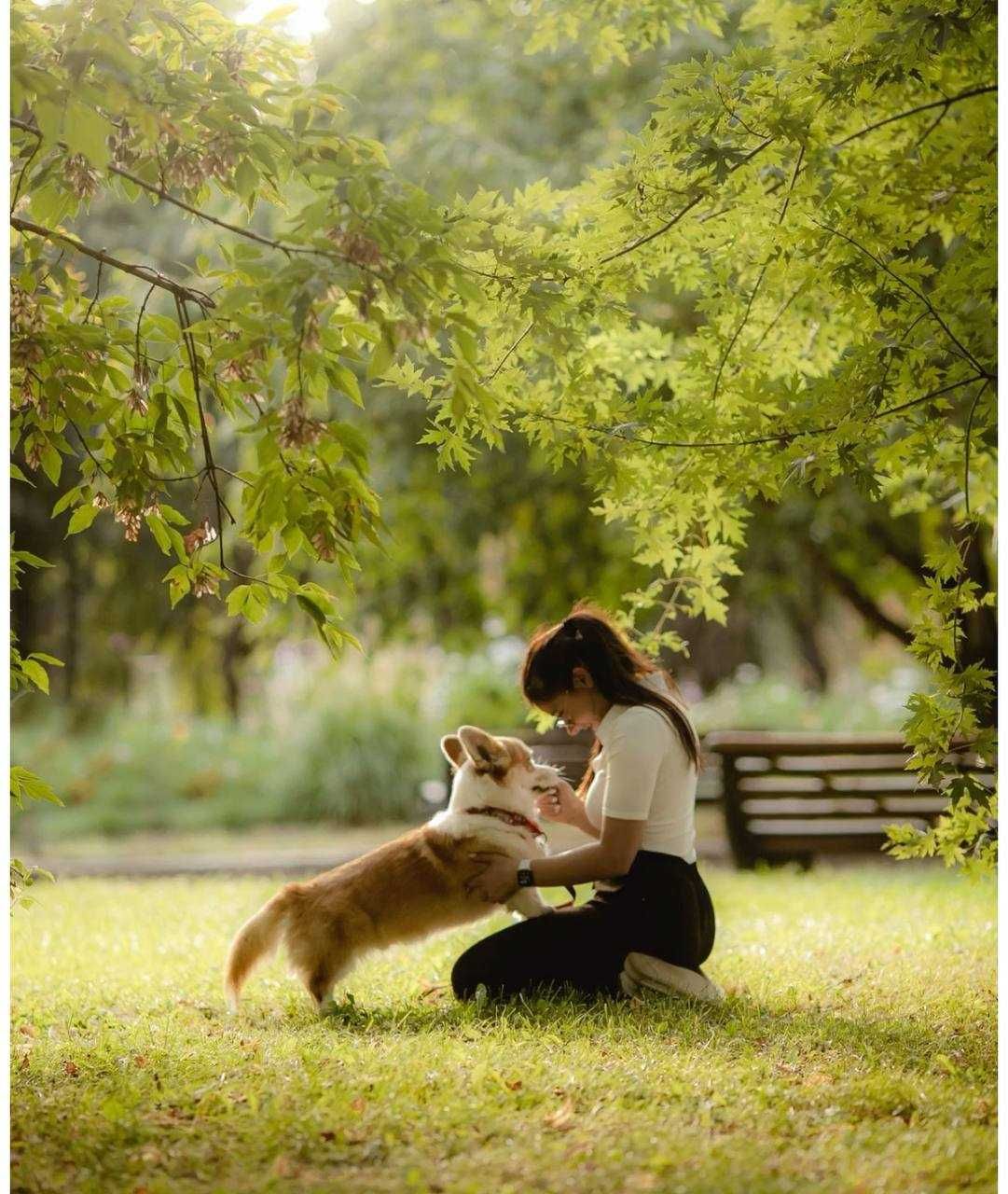 Cuido do seu cão ou gato em Maia / Porto