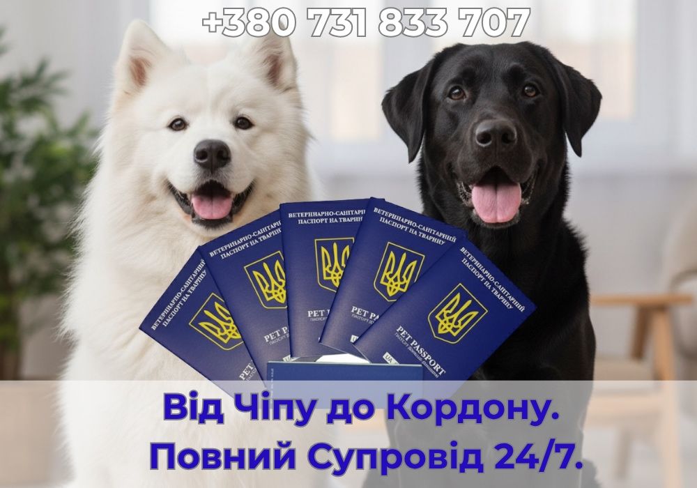 Повний пакет документів для тварин до перетину кордону‼️ СУПРОВІД 24/7