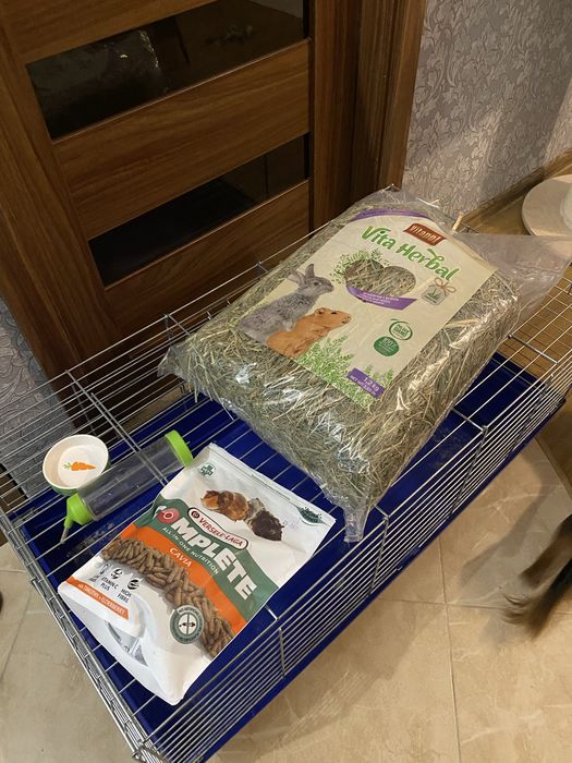 Klatka dla świnki morskiej / królika