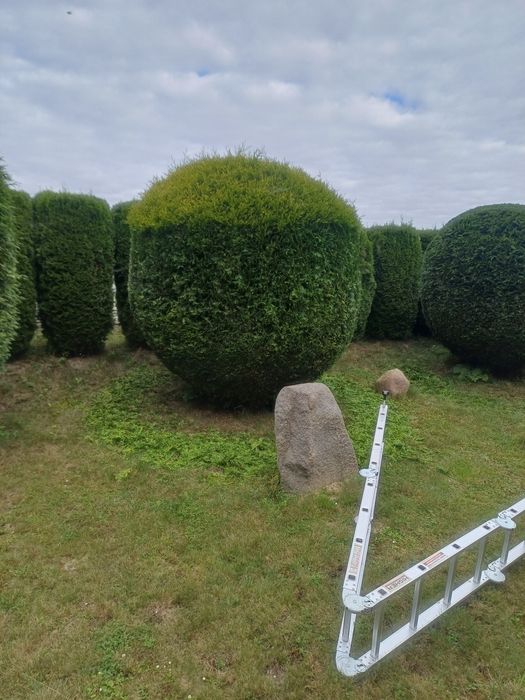Usługi ogrodnicze