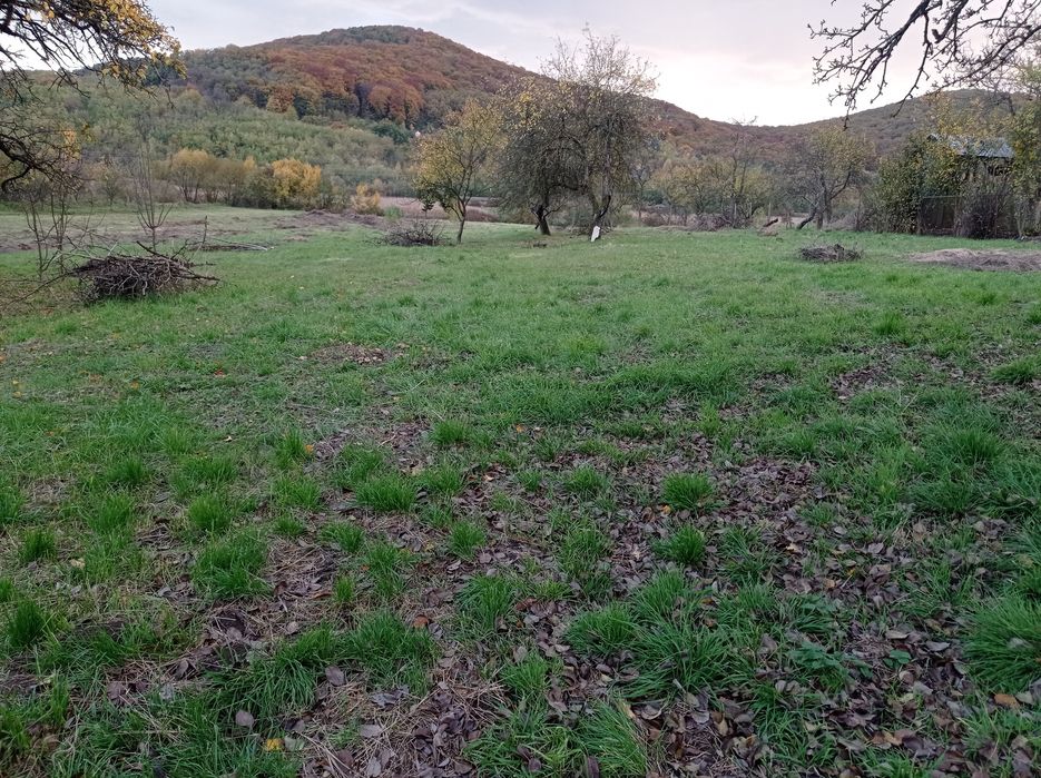 Земельна ділянка недалеко від Ужгорода, с. Глибоке
