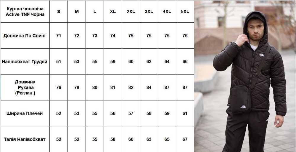 Куртка чоловіча осіння The North Face чорна