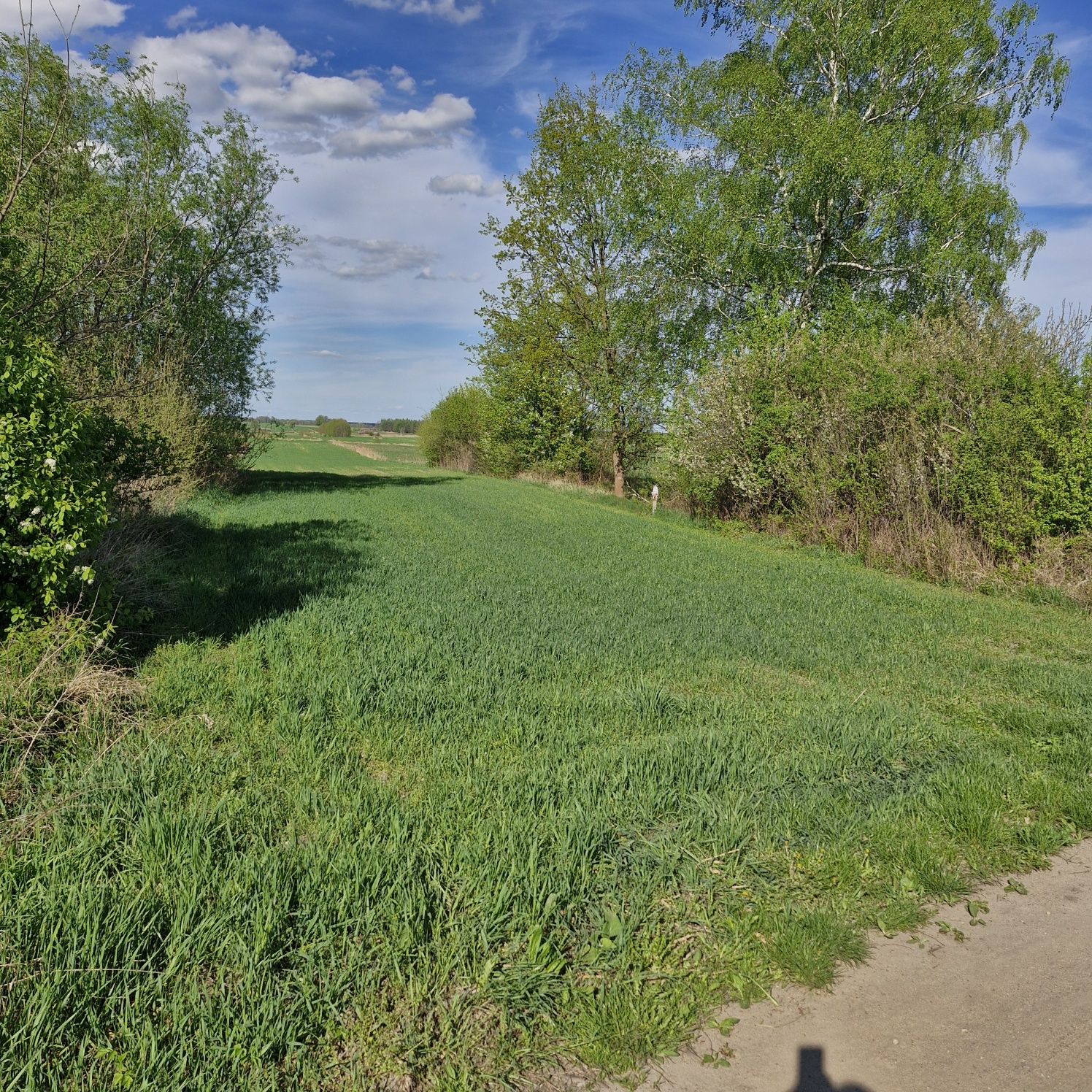 Działka w Bardzicach gm Kowala