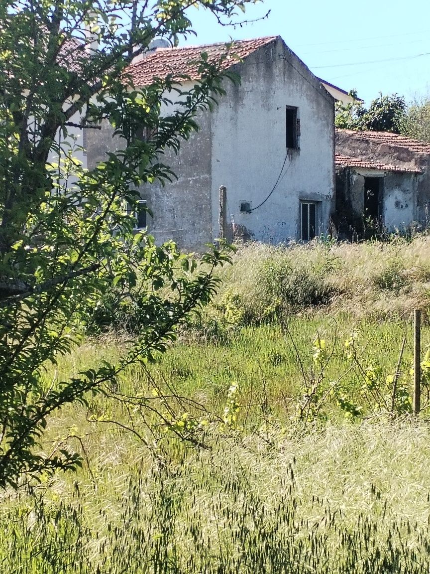 Terreno com viabilidade de construção e com construção antiga