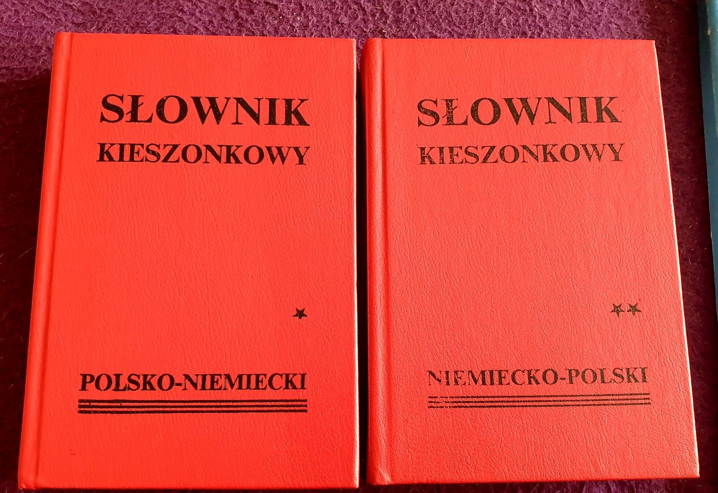 Słownik kieszonkowy polsko-niemiecki i niemiecko-polski