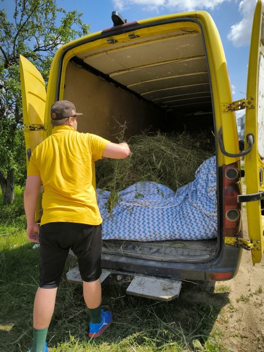 Розчистка зімельних ділянок, очищення ділянки, покос трави, рубка дере