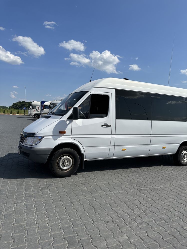 Mercedes_Benz Sprinter 313