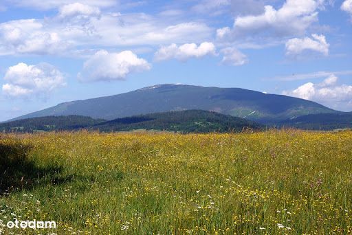 Piękna widokowa działka, idealna na rekreacje!