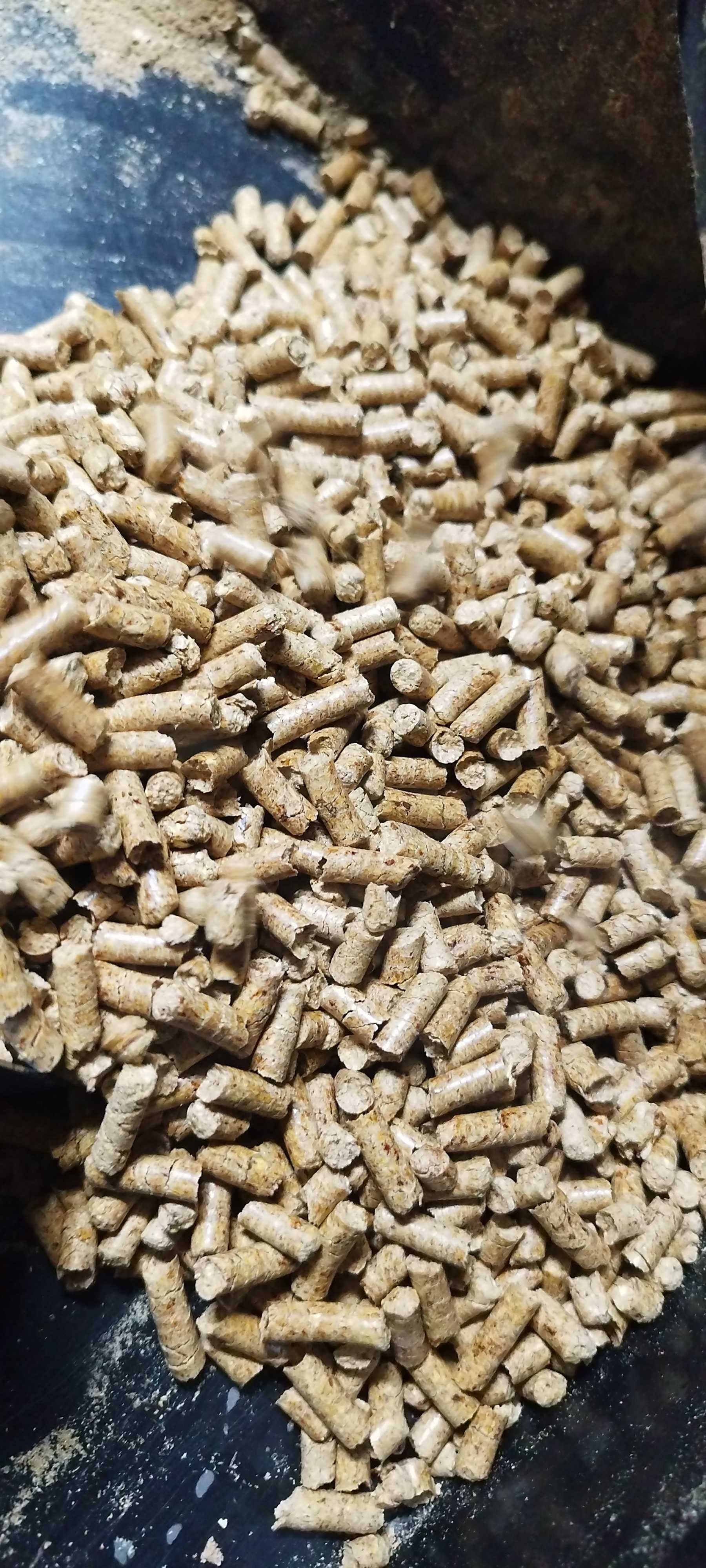 Pellet Drzewny, PRODUCENT, pellet opałowy jak A1