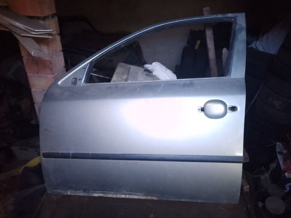 Двери Шкода тур. Scoda tour