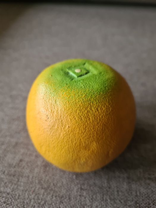 8 frutas tropicais decorativas