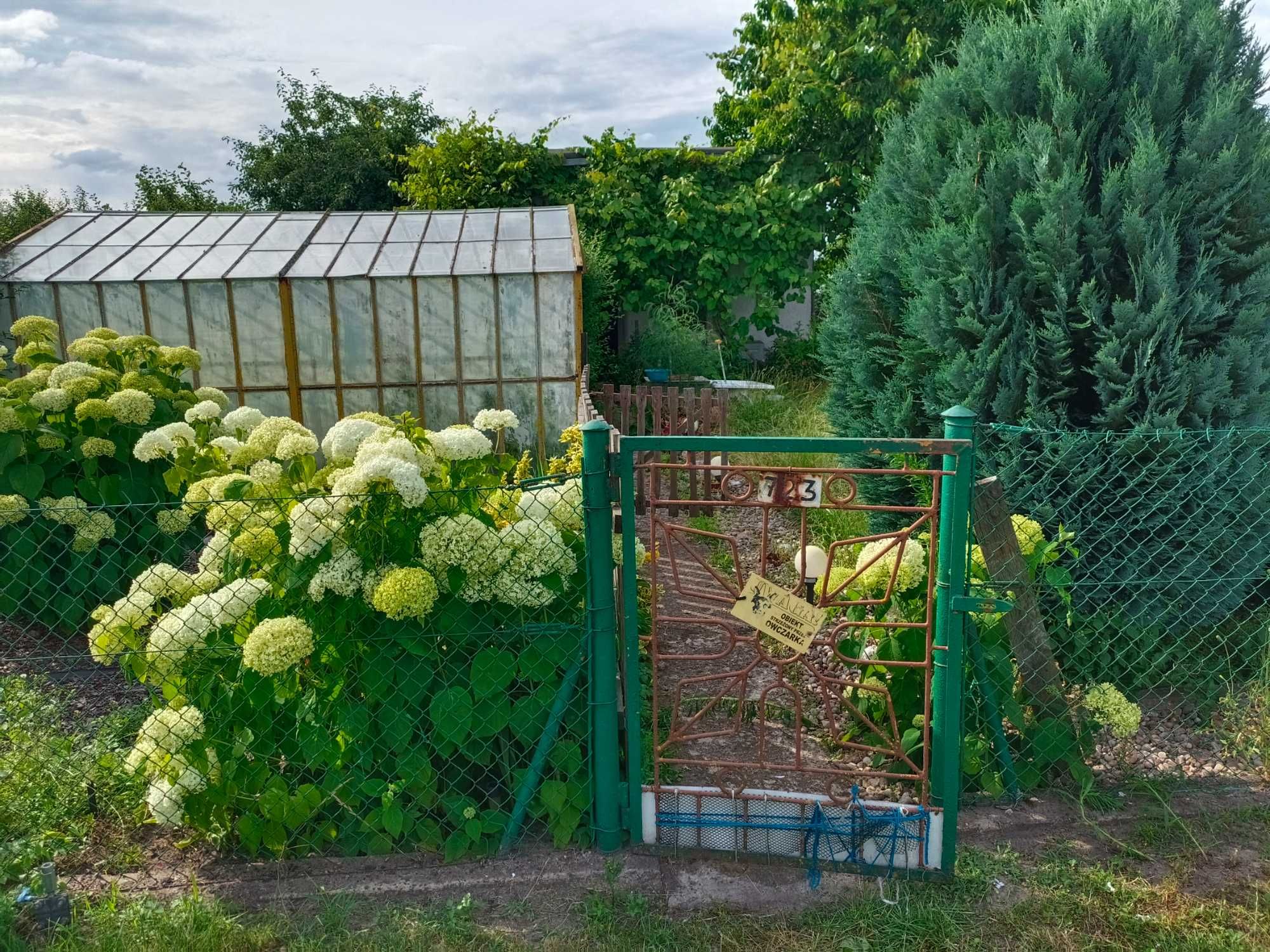 Działka rod szklarnia domek