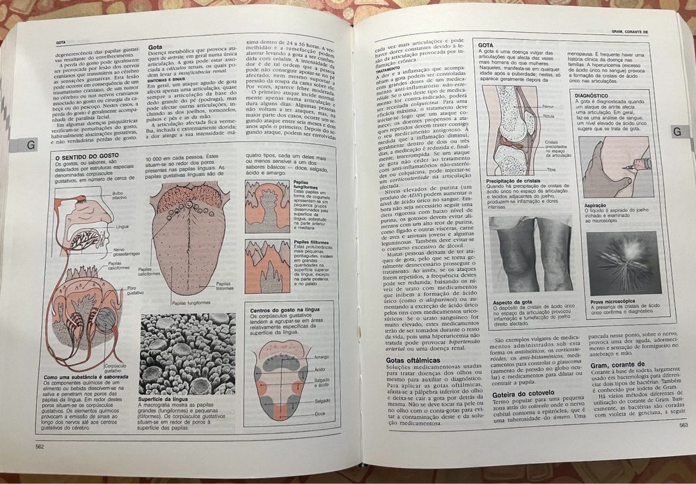 Enciclopédia de Medicina Ilustrativa Completa 5000 Temas