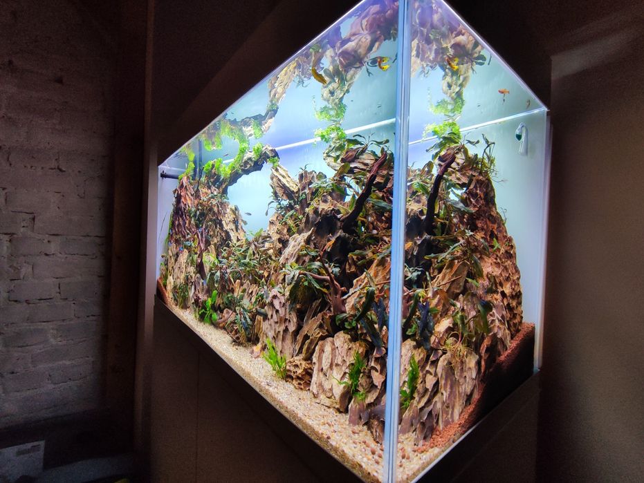 Akwarium cały zestaw 200l optiwhite