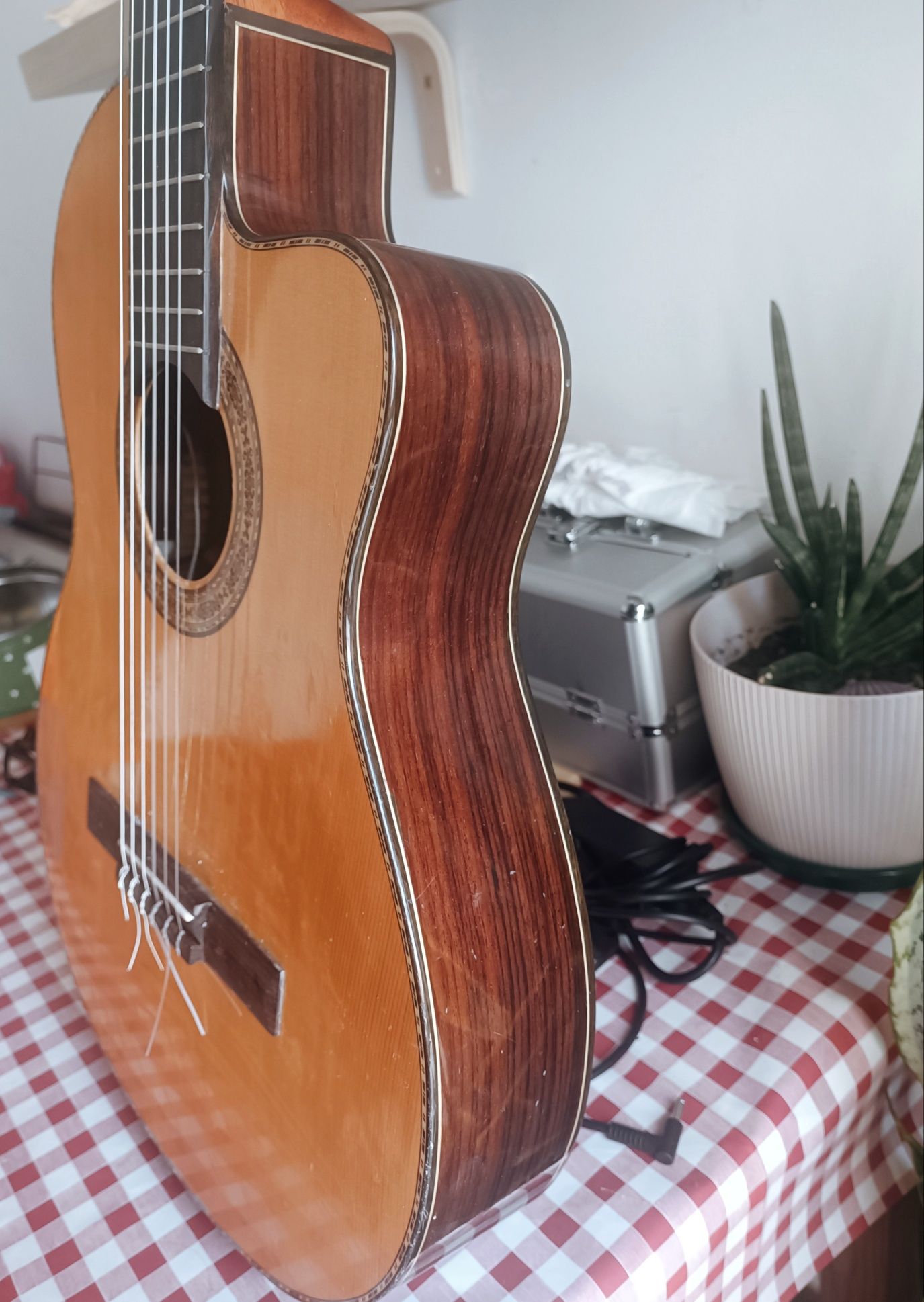 Apc 8 c cwe thinline