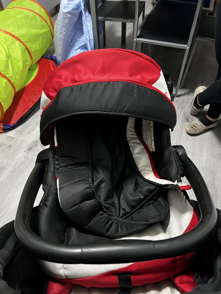 Carro de bebe com ovinho