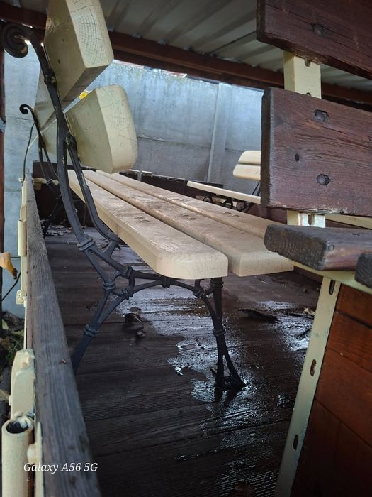 Klacz 5letnia i wóz