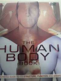 The human body book atlas anatomiczny po angielsku