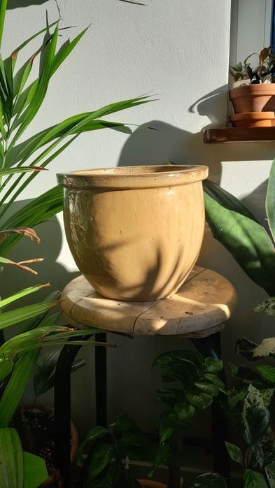 Ceramiczna, gliniana donica, doniczka