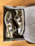 Nike dunk low SB CHAMELEON