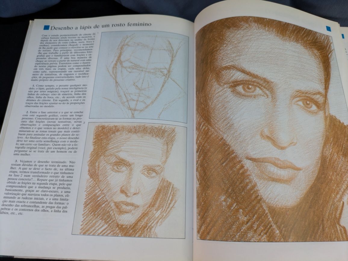 As Bases do Desenho Artístico