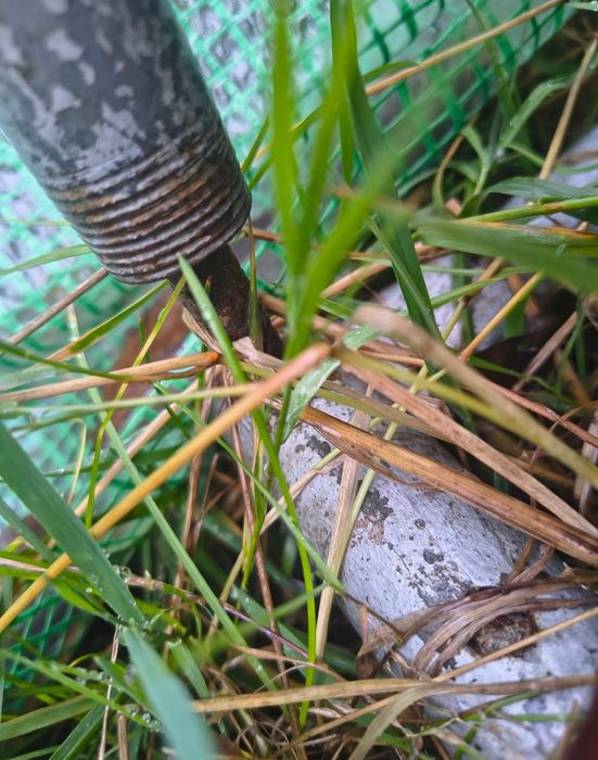 Szklarnia 15m2, Namiot ogrodowy,, Stelaż XL