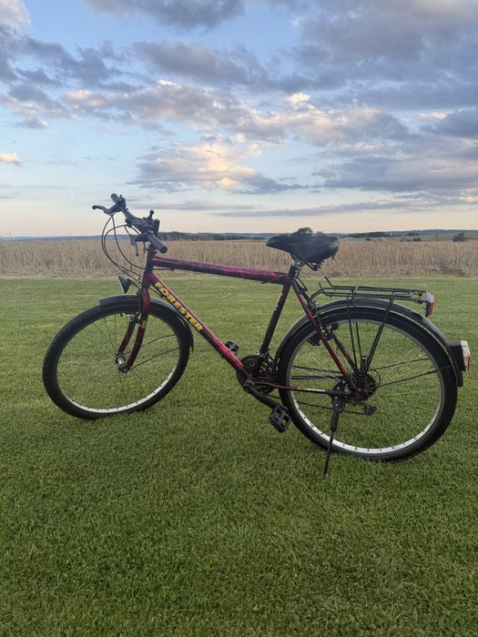 Rower górski bordowy
