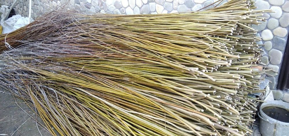 Лоза для плетіння біла до 2.80см