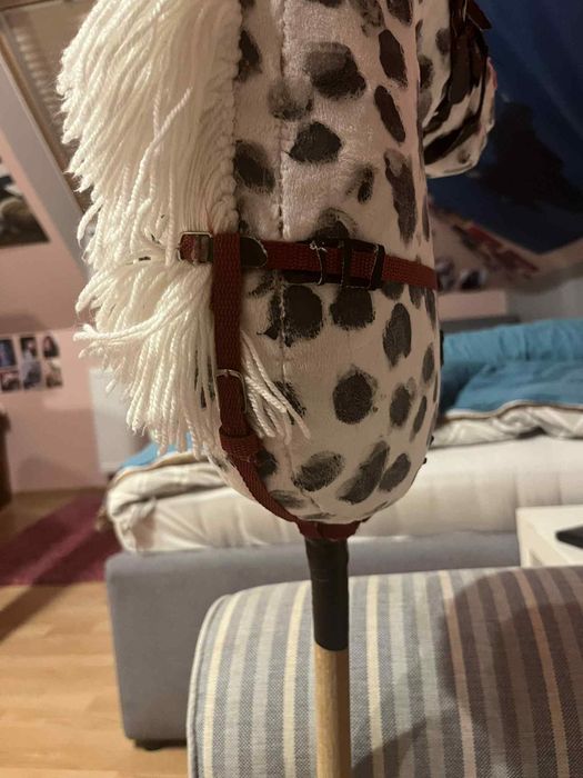Hobby horse Konik w kropki a3 z kijem oraz akcesoriami

Nazwa: Konik w