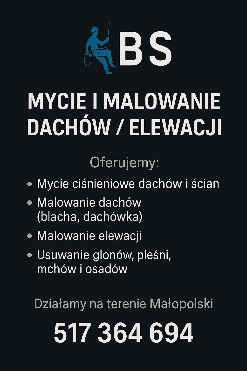 Mycie i Malowanie Dachów / Elewacji – Profesjonalnie i Bezpiecznie!
