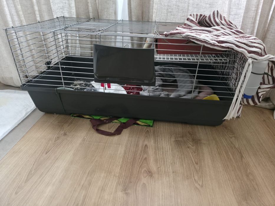 Gaiola roedor , parte superior , em bom estado.