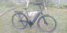 Електровелосипед Gazelle Grenoble c5 ремінь