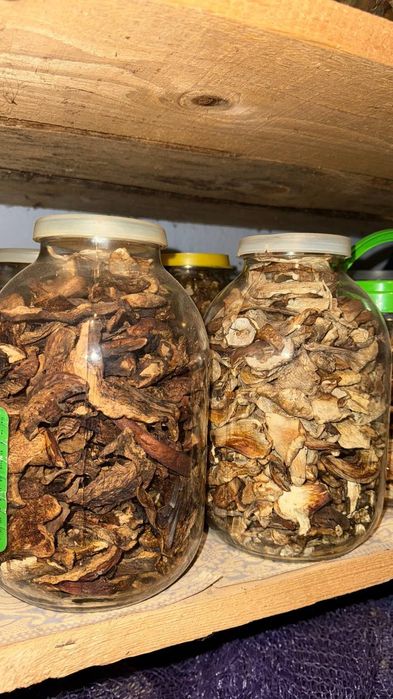 Сушені білі гриби в печі на букових дровах.Гриби урожаю 2025.